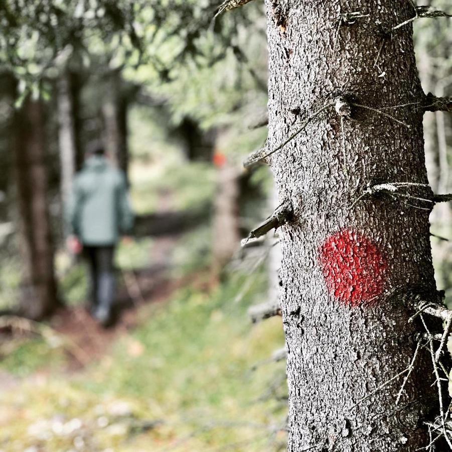 Adalsvollen Retreat Hotell Verdalsora Eksteriør bilde